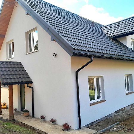 Villa Sowinka Lutowiska Esterno foto