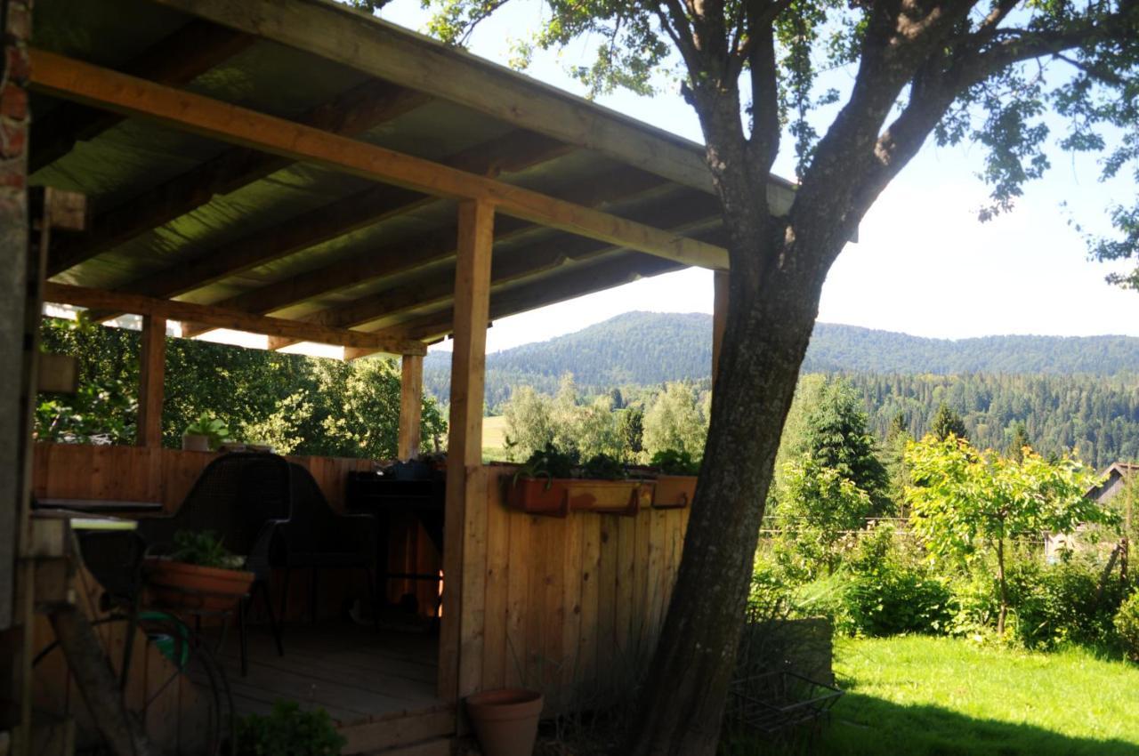 Villa Sowinka Lutowiska Esterno foto