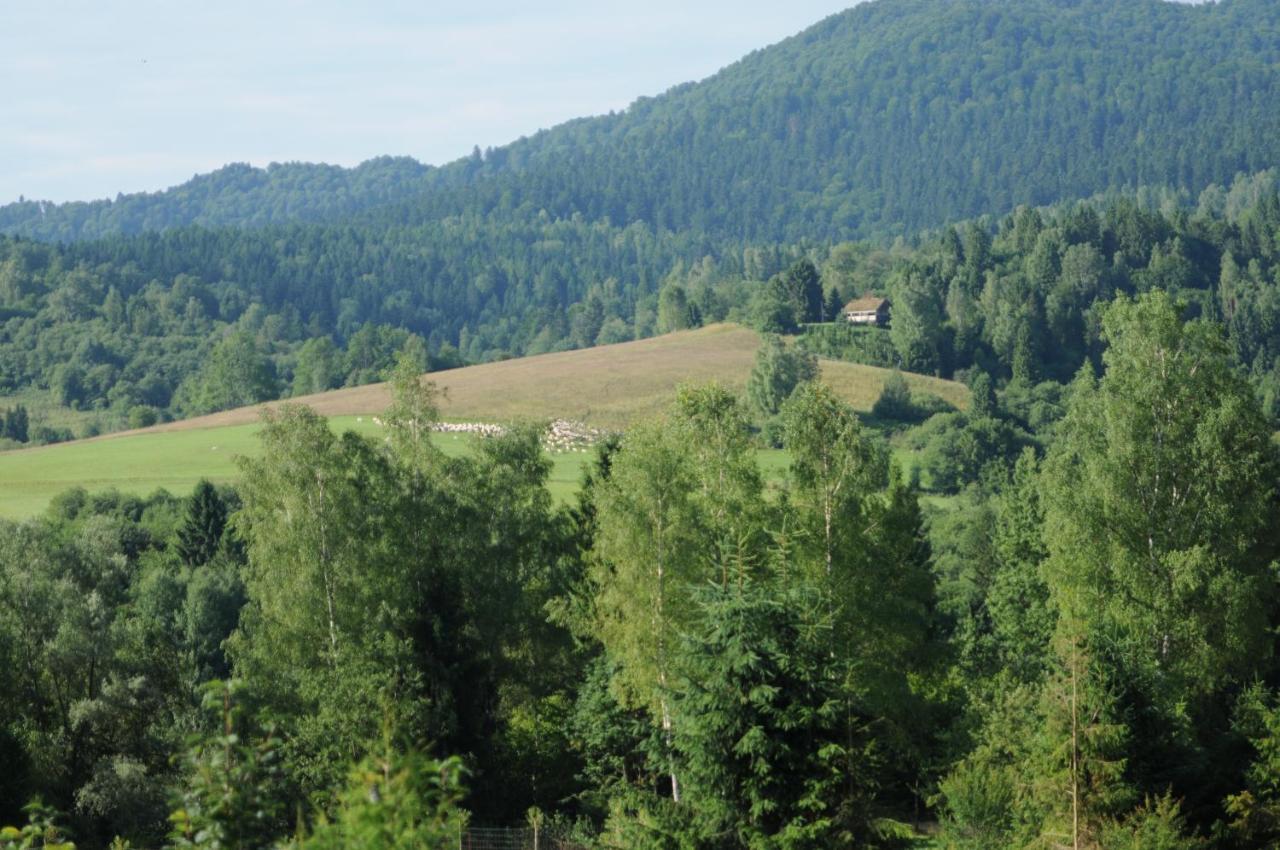 Villa Sowinka Lutowiska Esterno foto