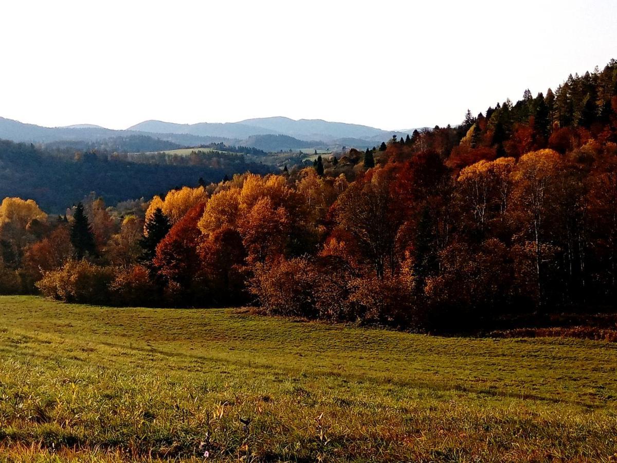Villa Sowinka Lutowiska Esterno foto