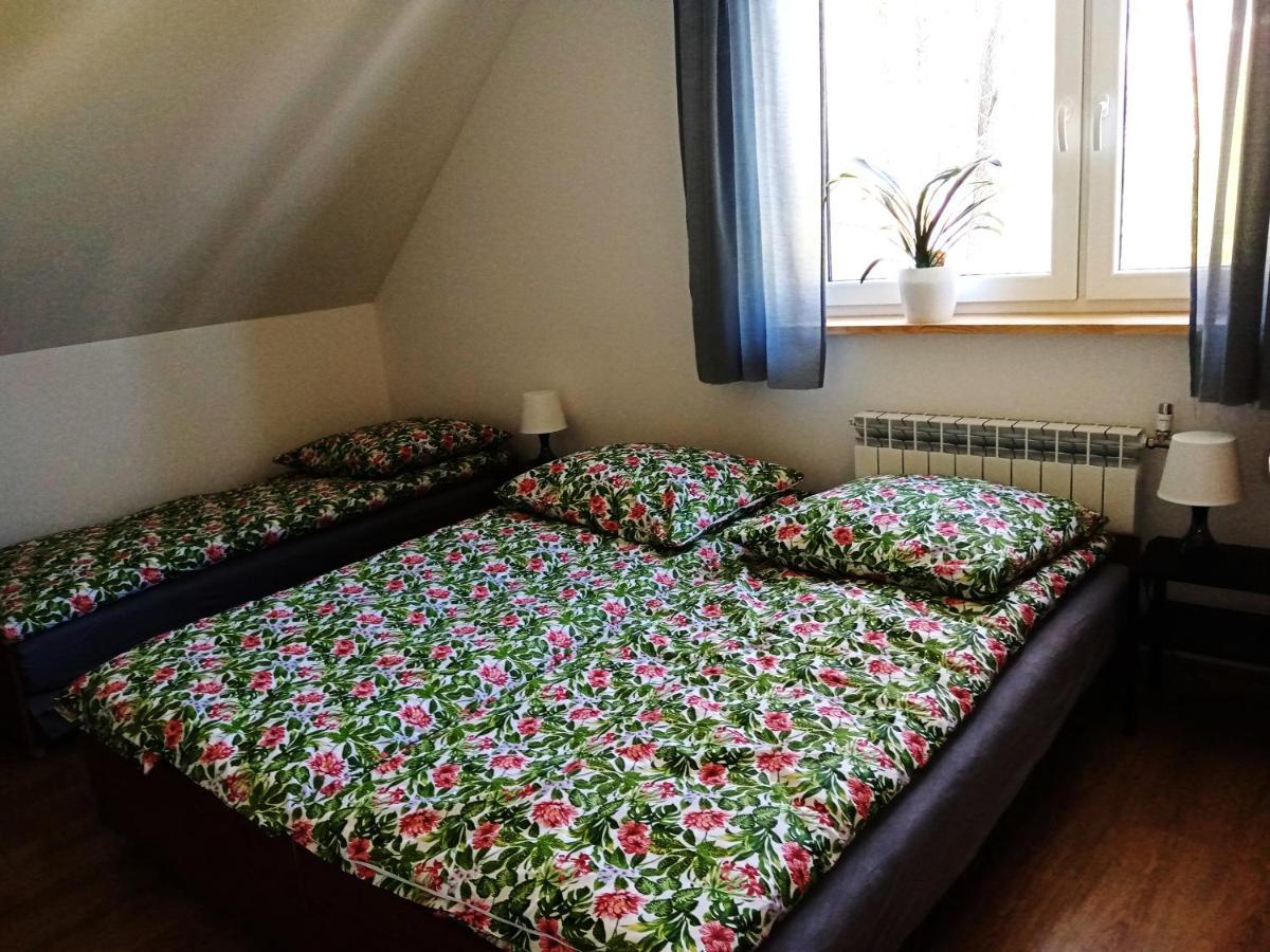 Villa Sowinka Lutowiska Esterno foto