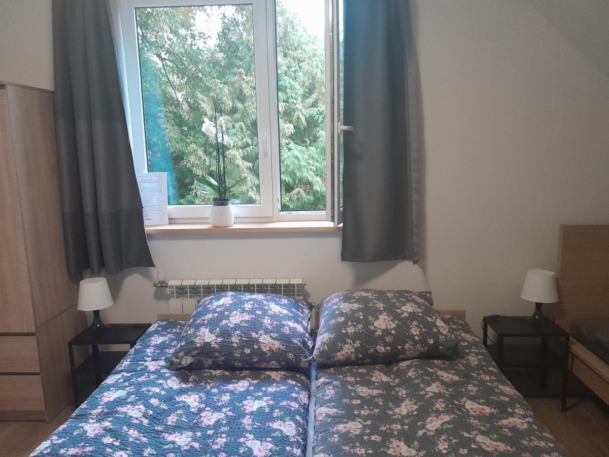 Villa Sowinka Lutowiska Esterno foto