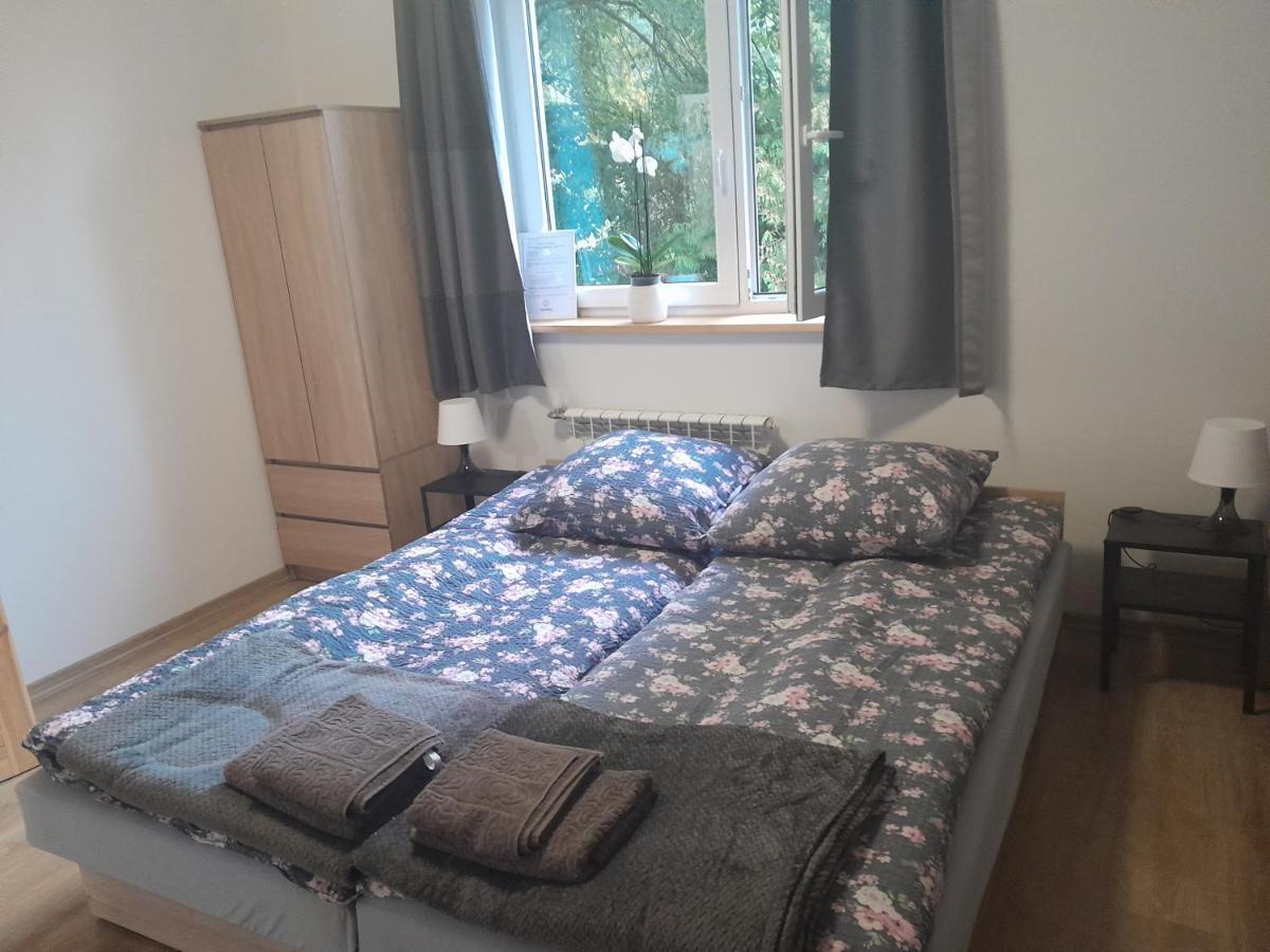 Villa Sowinka Lutowiska Esterno foto