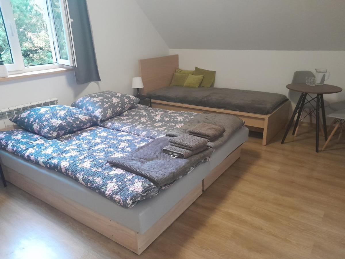 Villa Sowinka Lutowiska Esterno foto