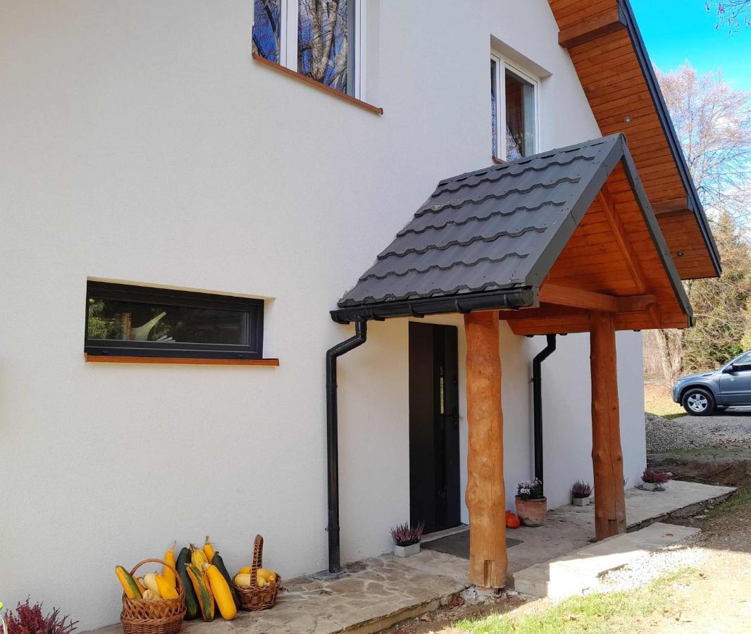 Villa Sowinka Lutowiska Esterno foto