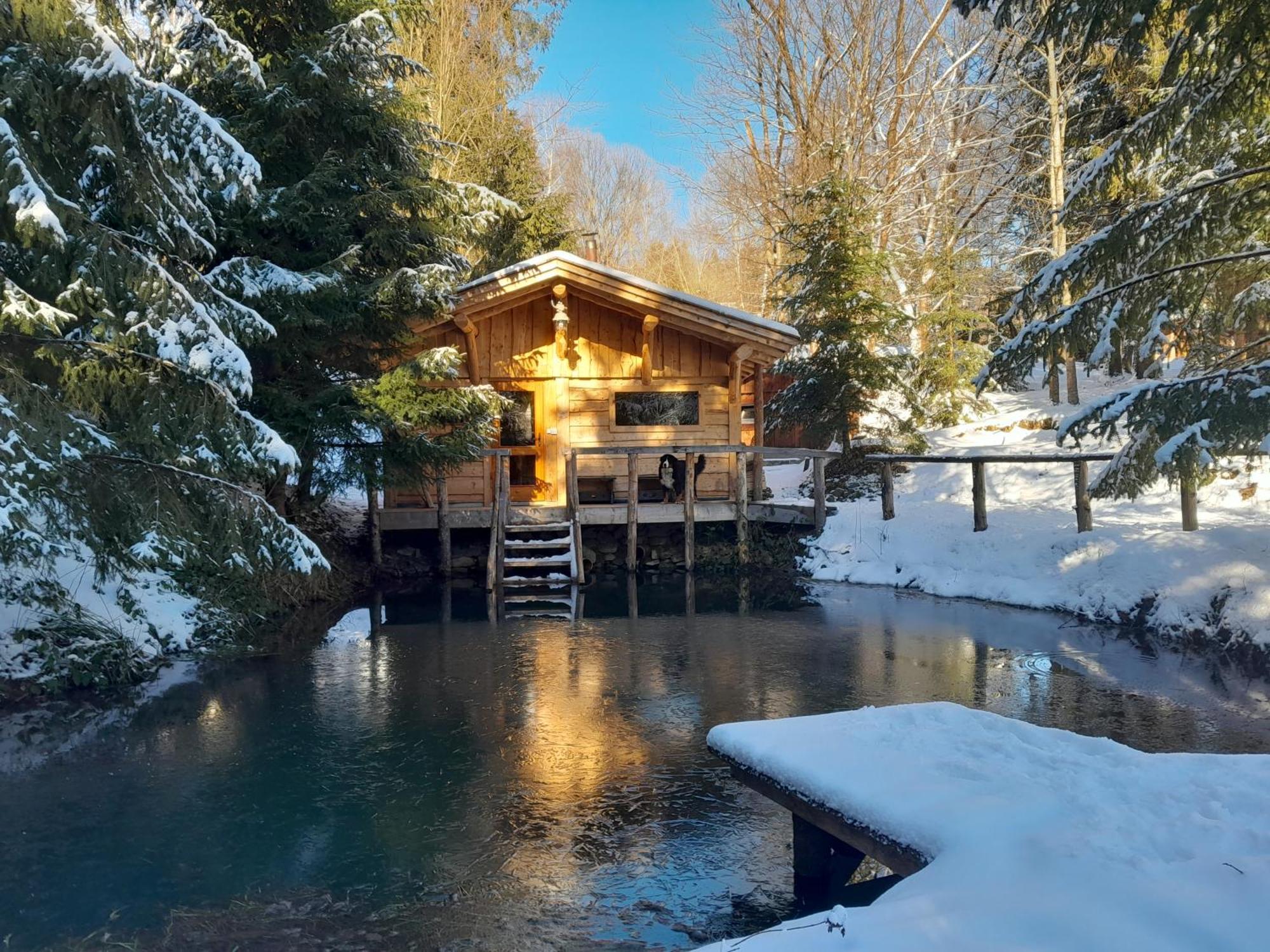 Villa Sowinka Lutowiska Esterno foto